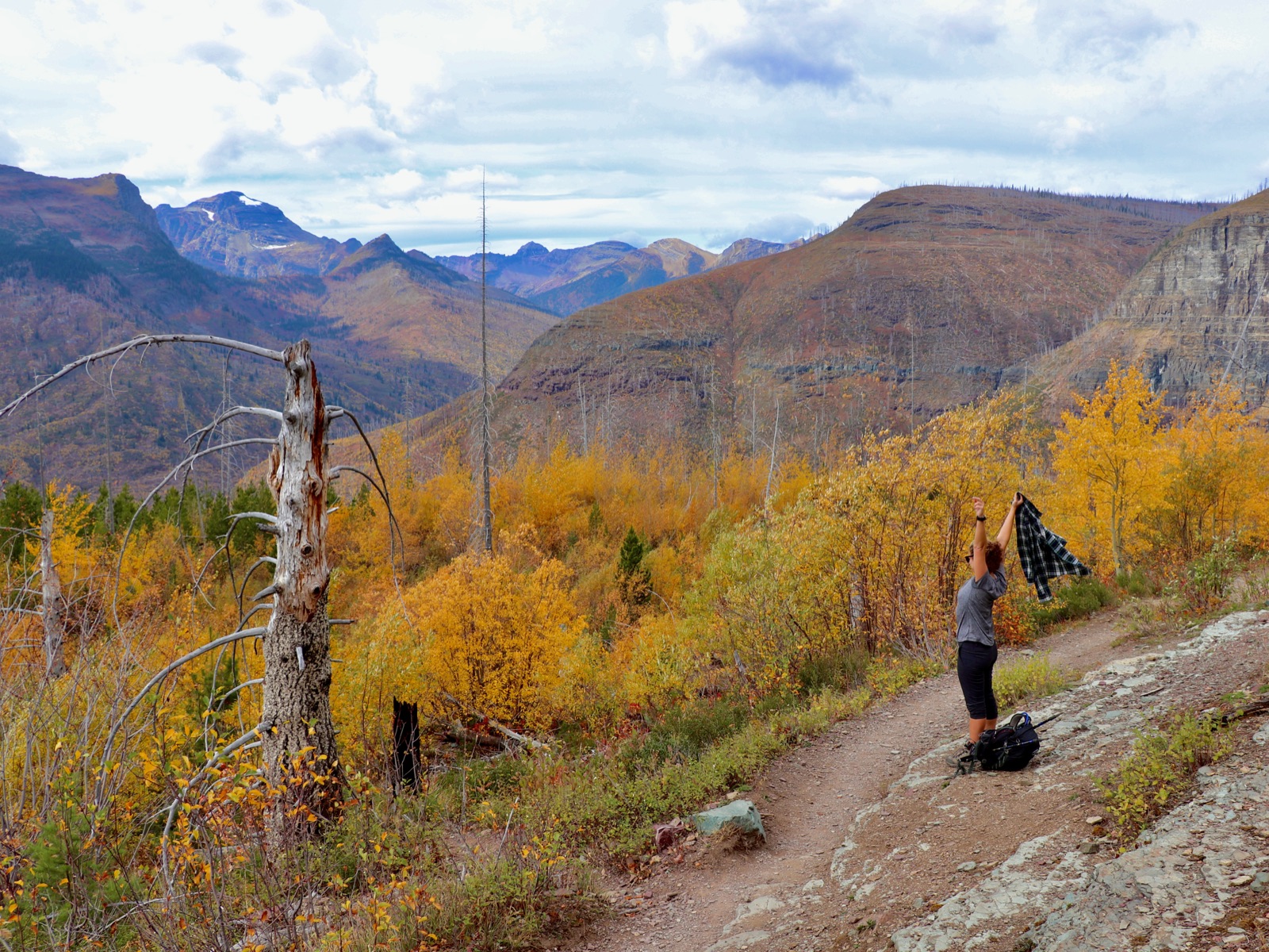 A hiker on an autumn larch trail