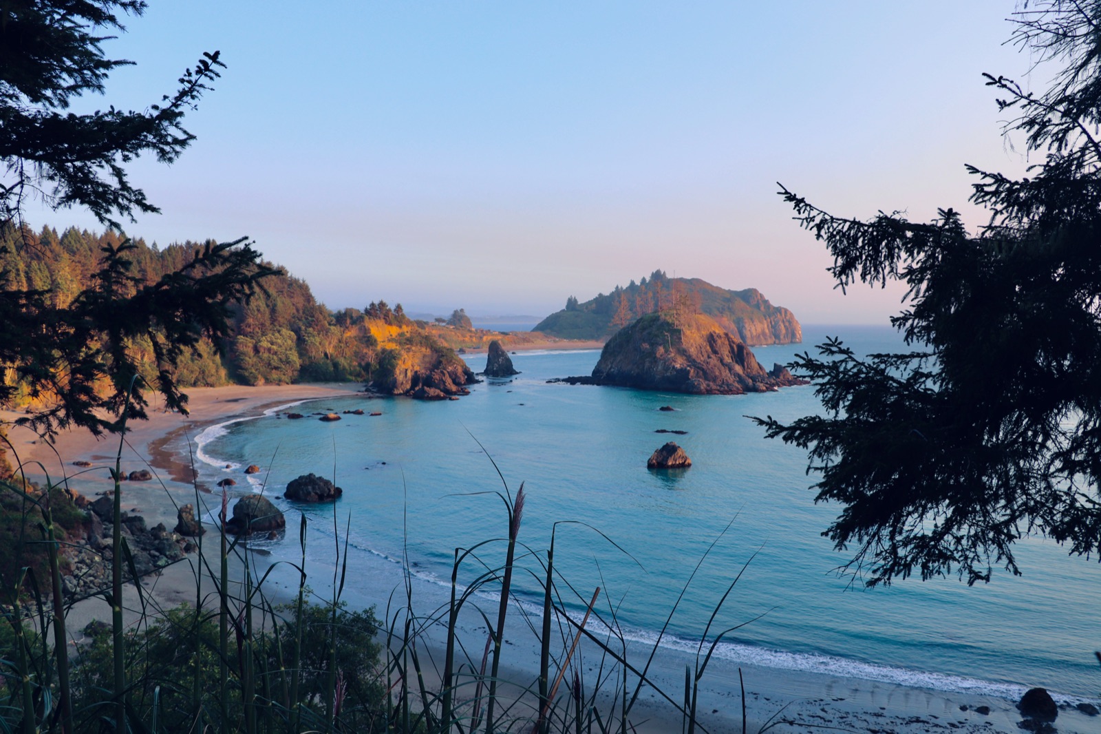 Sea stacks in a Pacific coast cove